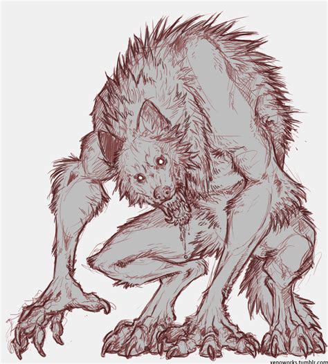 Hand drawn animal and constellation vector illustrations. . Werewolf drawing reference